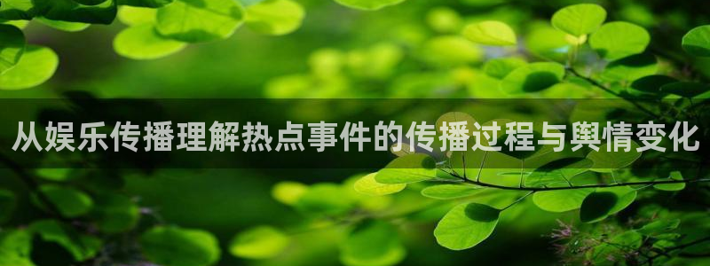 热门网络话题：从娱乐传播理解热点事件的传播过程与舆情变化