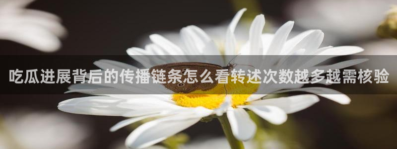 今日事件爆料：吃瓜进展背后的传播链条怎么看转述次数越多越需核验