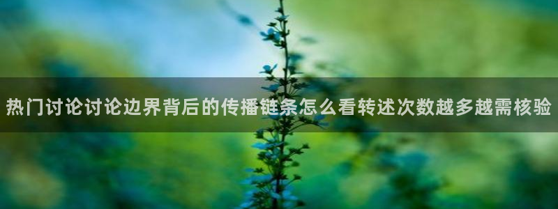 网络事件爆料：热门讨论讨论边界背后的传播链条怎么看转述次数越多越需核验