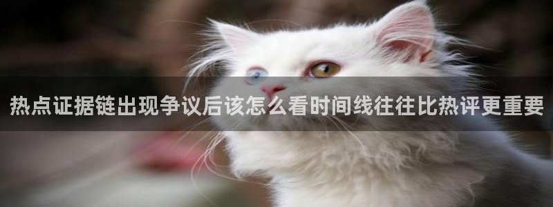 黑料最新热点：热点证据链出现争议后该怎么看时间线往往比热评更重要