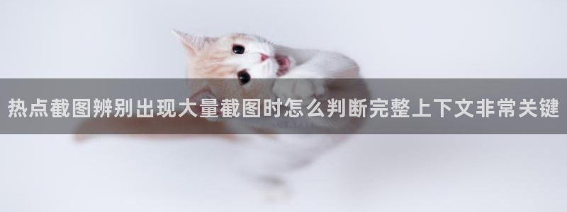 事件爆料动态：热点截图辨别出现大量截图时怎么判断完整上下文非常关键