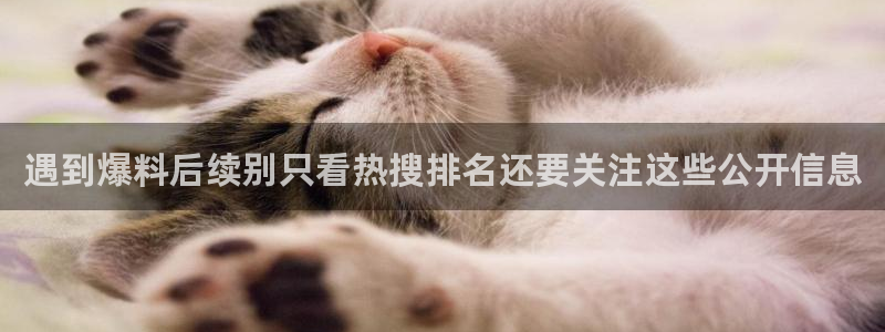 黑料爆料网络热点网：遇到爆料后续别只看热搜排名还要关注这些公开信息